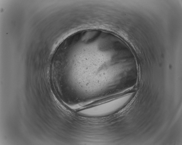 X0000087671500200705181651