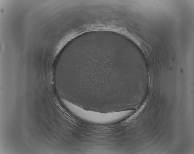 X0000087671501200705181651