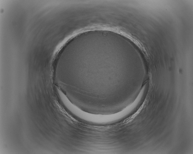 X0000087671502200705181651