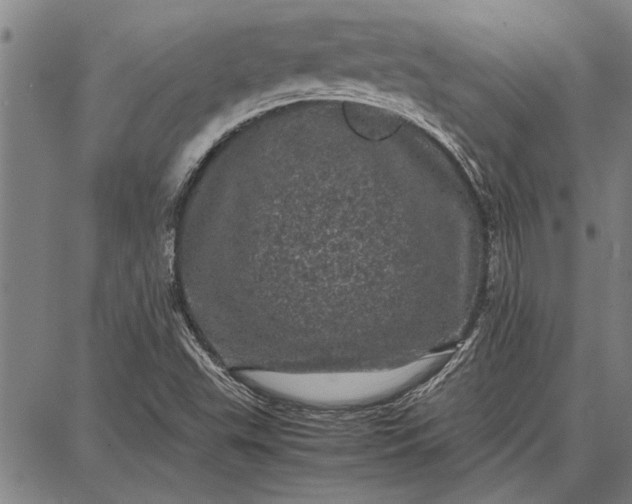 X0000087671503200705181651