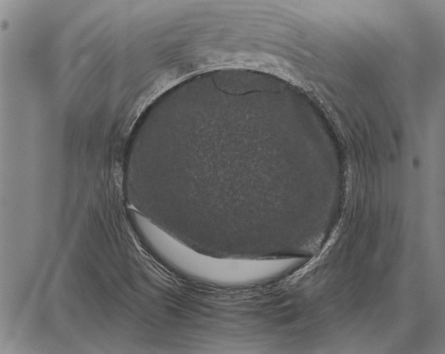 X0000087671505200705181651