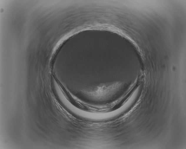 X0000087671506200705181651