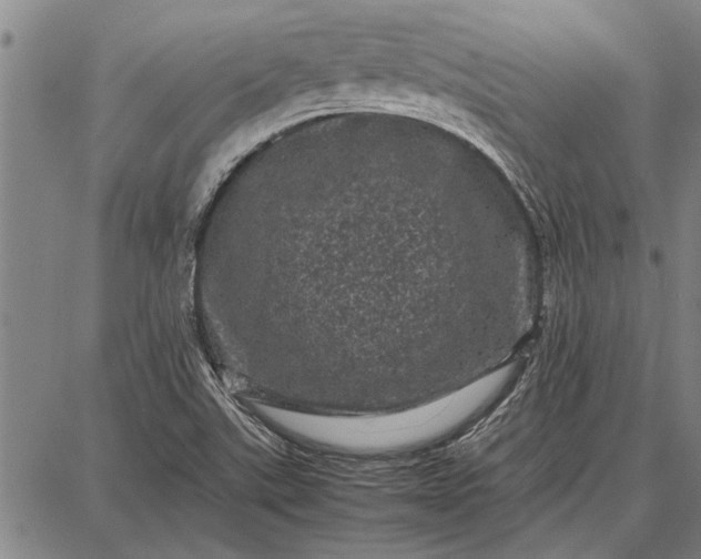 X0000087671507200705181652