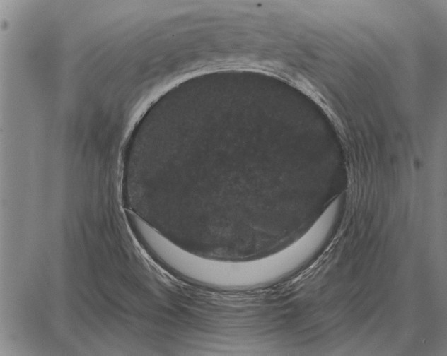 X0000087671508200705181652