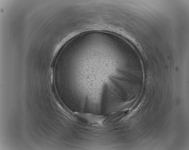 X0000087671509200705181652