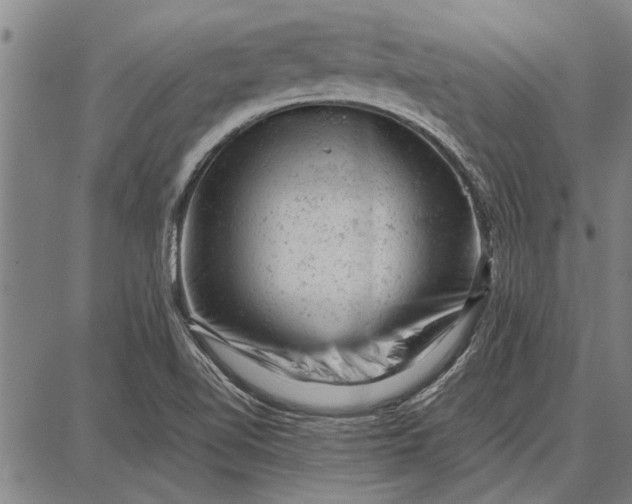 X0000087671510200705181652