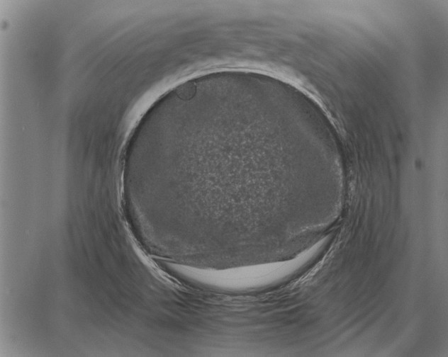 X0000087671511200705181652