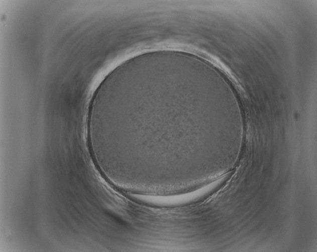 X0000087671512200705181652