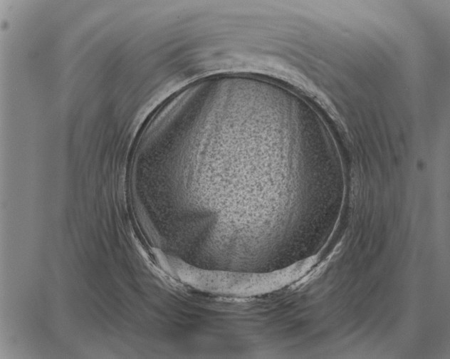 X0000087671513200705181652