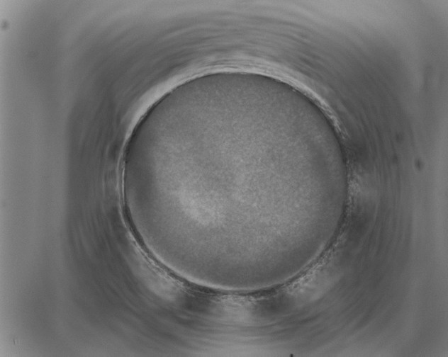 X0000087671514200705181652