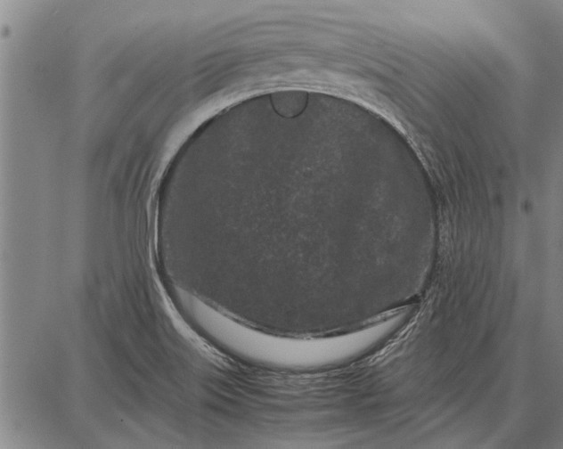 X0000087671515200705181652