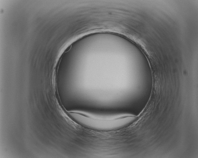 X0000087671516200705181652