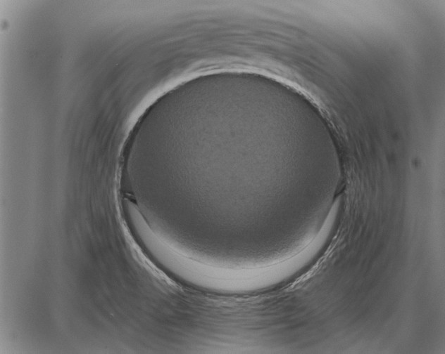 X0000087671518200705181652