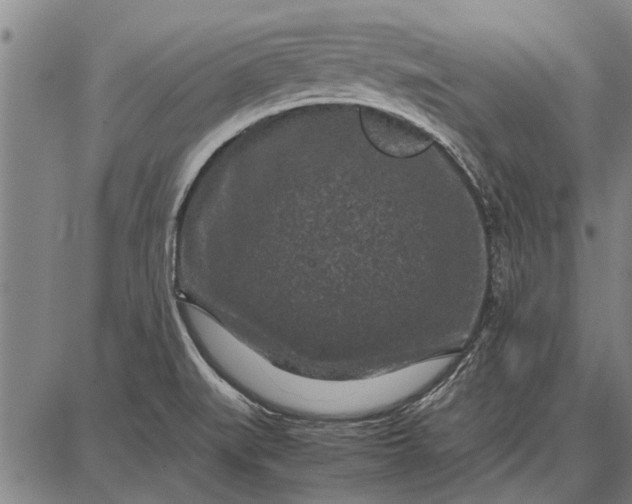 X0000087671519200705181652