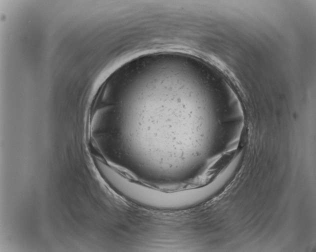 X0000087671520200705181652