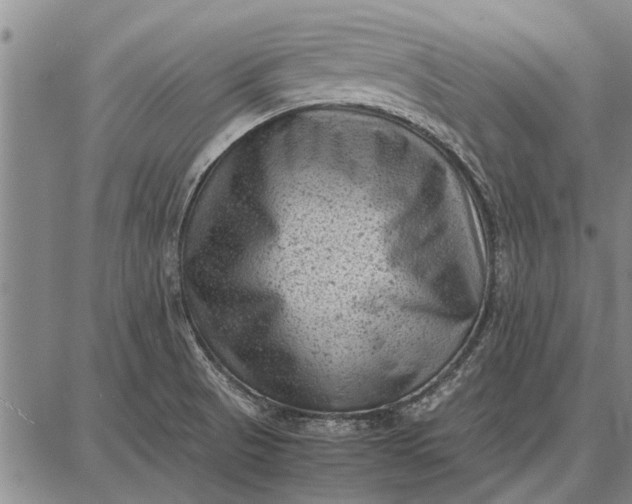 X0000087671521200705181652