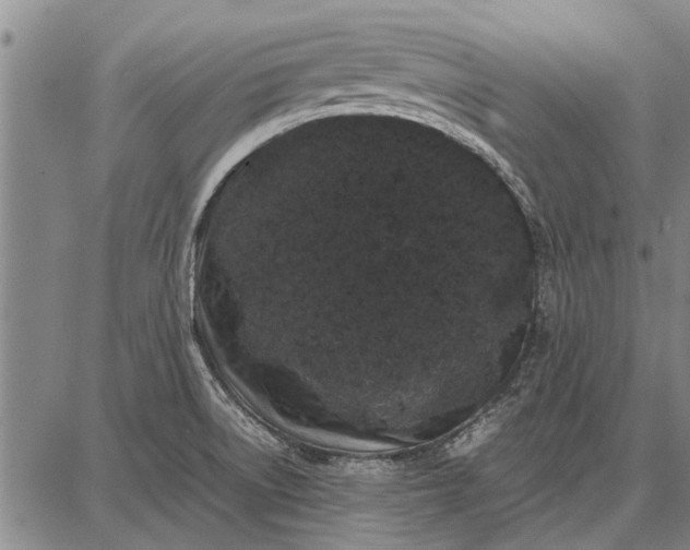 X0000087671522200705181652