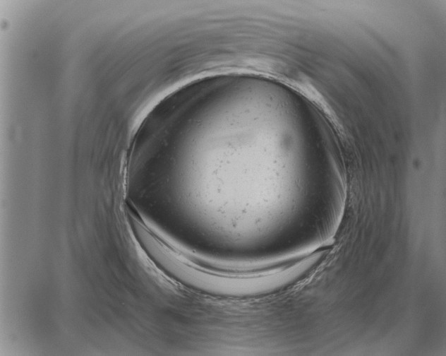 X0000087671524200705181652