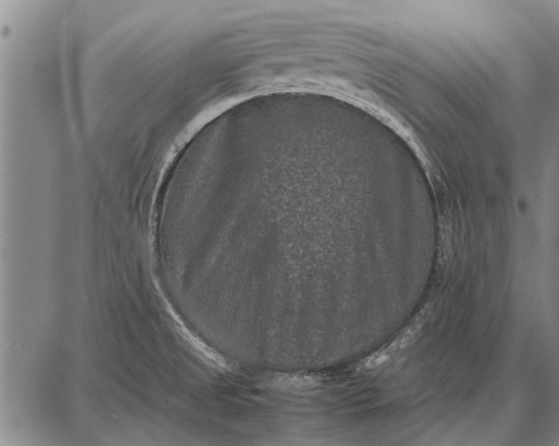 X0000087671525200705181652