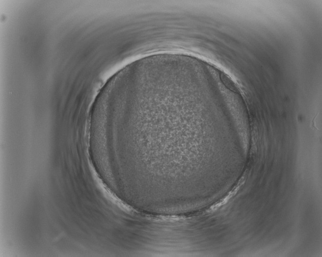 X0000087671526200705181652