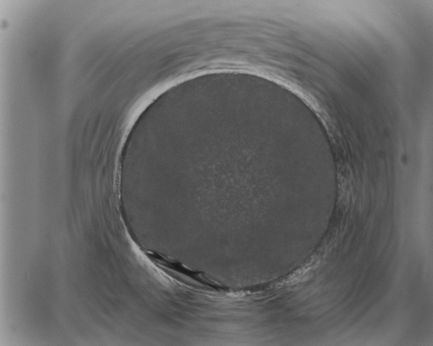 X0000087671527200705181652