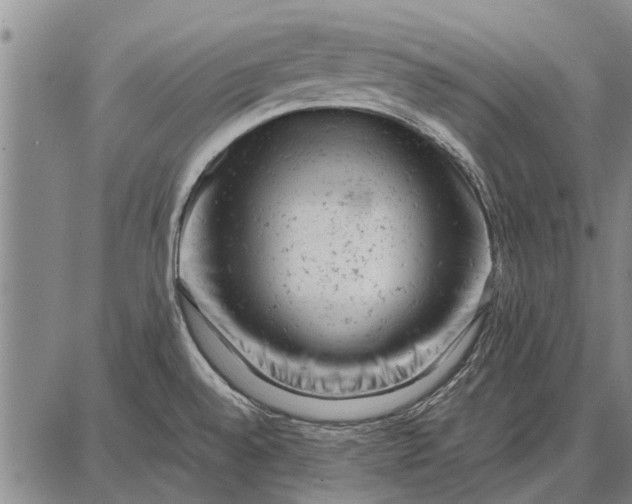 X0000087671528200705181652