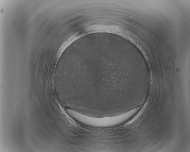 X0000087671529200705181652