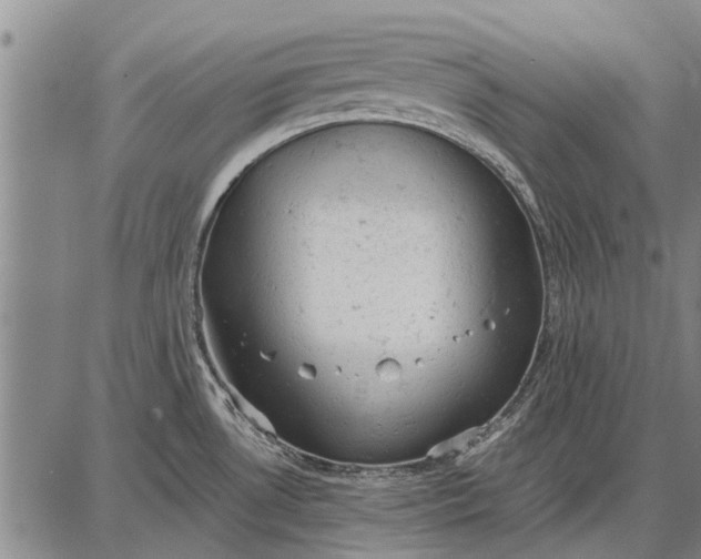 X0000087671530200705181652