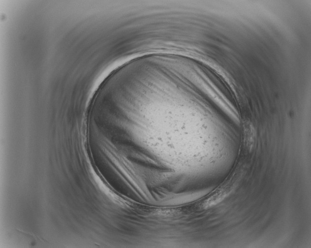 X0000087671531200705181652