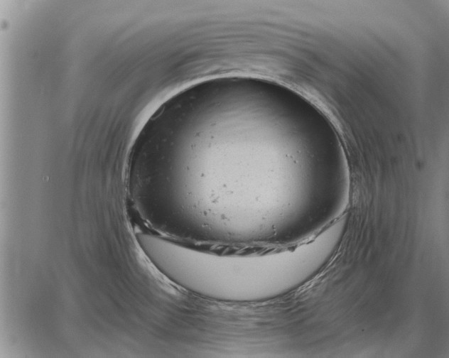 X0000087671532200705181652