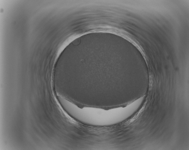 X0000087671533200705181652