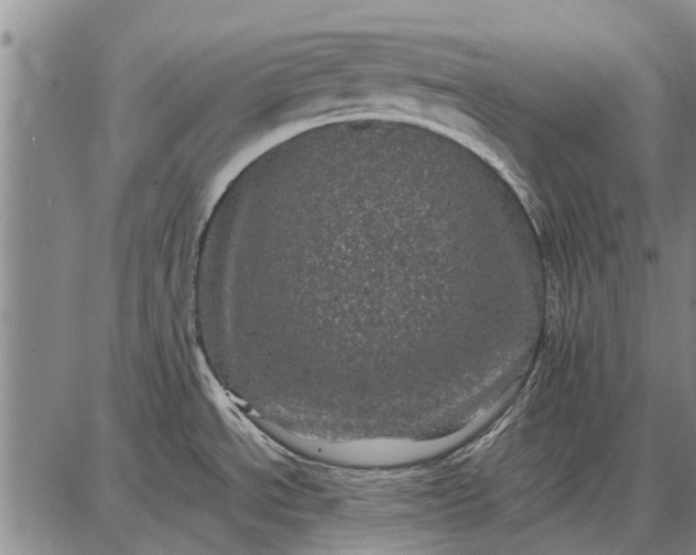 X0000087671534200705181652