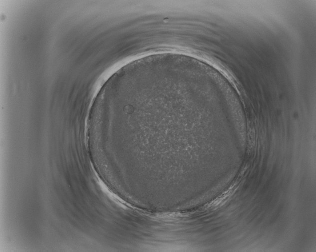 X0000087671535200705181652