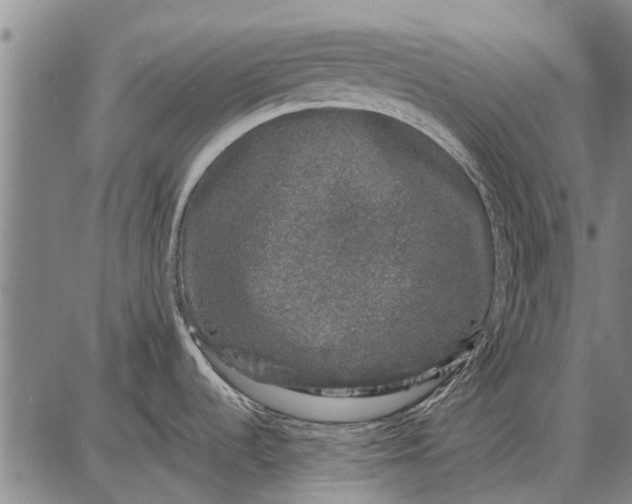 X0000087671536200705181652