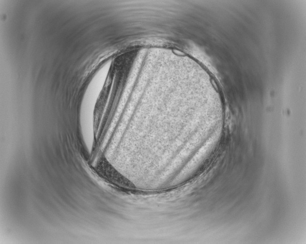 X0000087670013200705251630