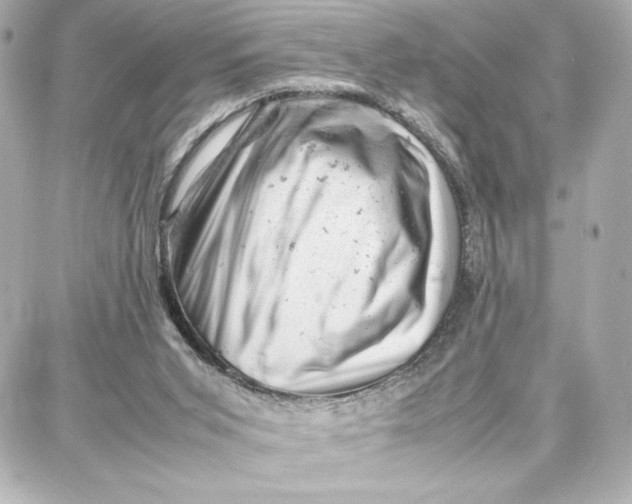 X0000087670015200705251630