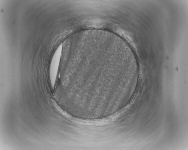 X0000087670017200705251630