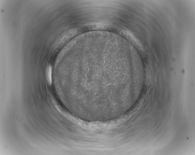 X0000087670022200705251630