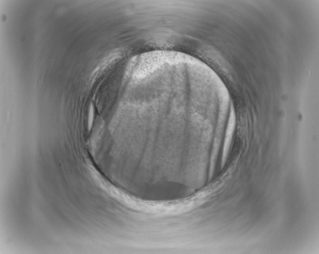 X0000087670023200705251630