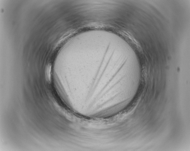 X0000087670024200705251630