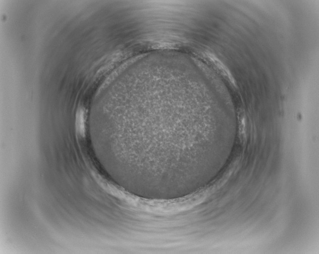 X0000087670026200705251630