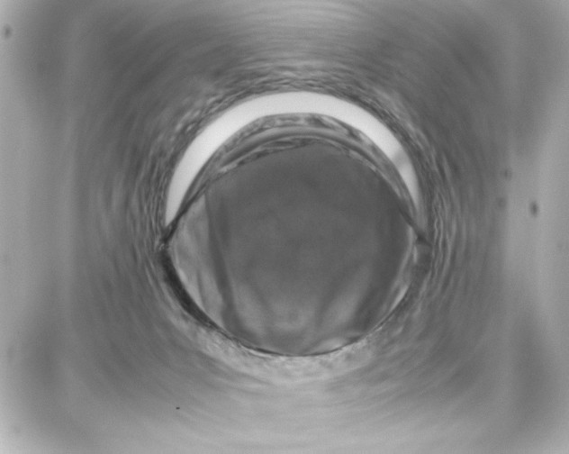 X0000087670031200705251630
