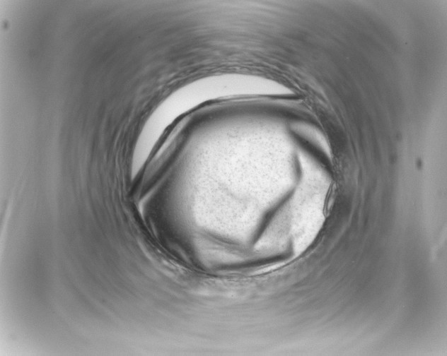 X0000087670033200705251630