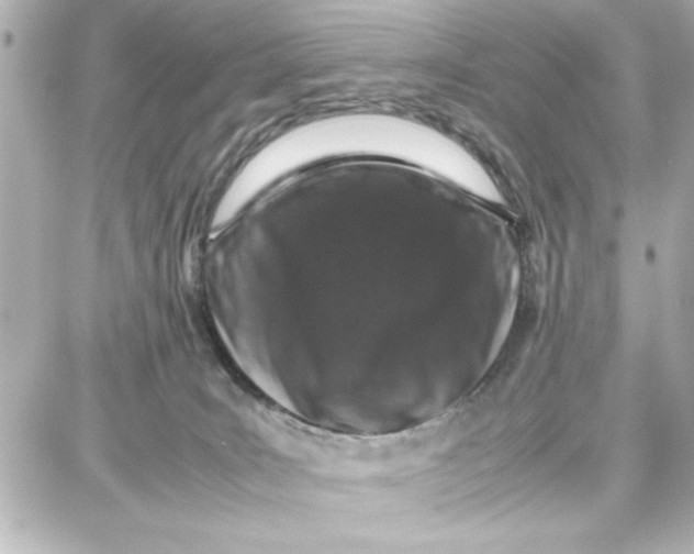 X0000087670035200705251630