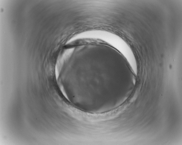 X0000087670039200705251630
