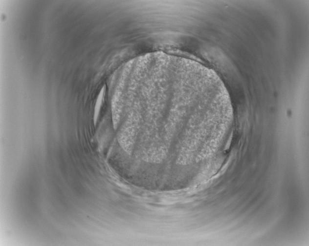 X0000087670041200705251630