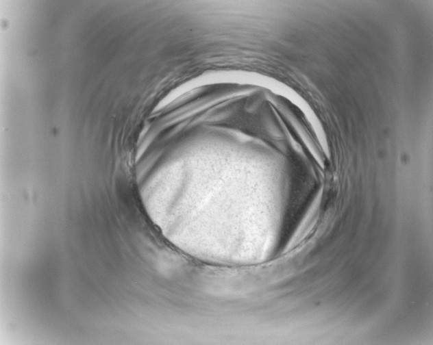 X0000087670045200705251630