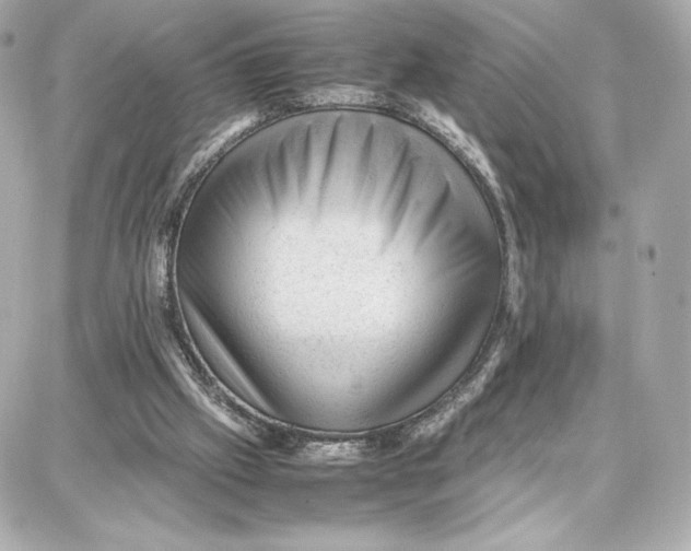 X0000087670057200705251629