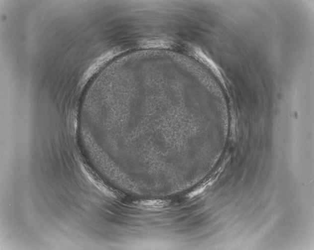 X0000087670059200705251629