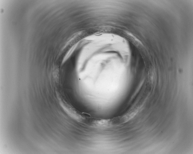 X0000087670092200705251629